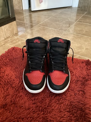 2016 bred 11 5 - tg, 11,5